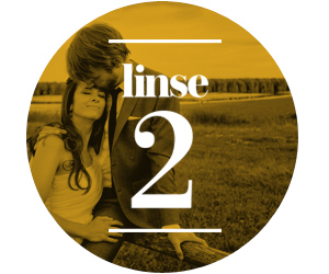 linse2-2014-banner300x250px