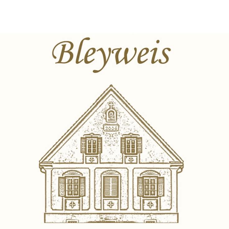 Bioweingut Bleyweis_Logo