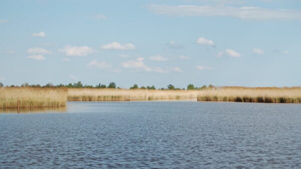 Hochzeitslocation im Burgenland - die besten Locations zum Heiraten