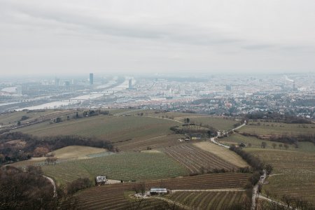 kahlenberg_hochzeitslocation_a_tale_of_hearts_20190412080221271788